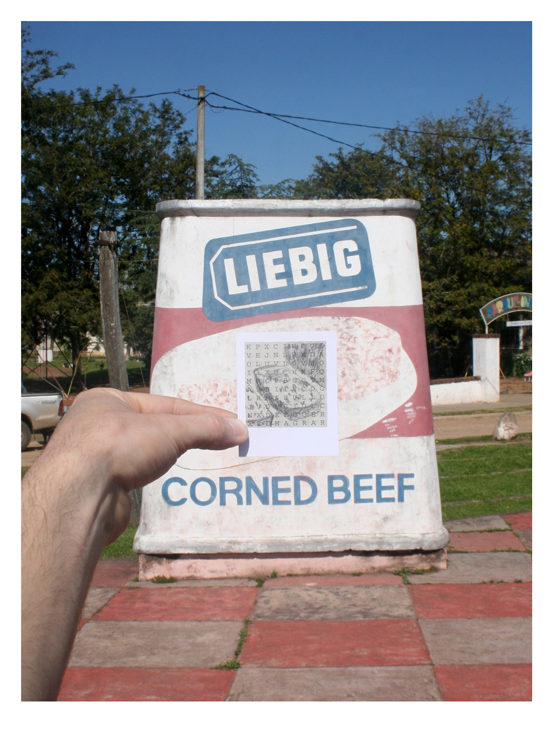 LO QUE LA CARNE SE CONSERVA